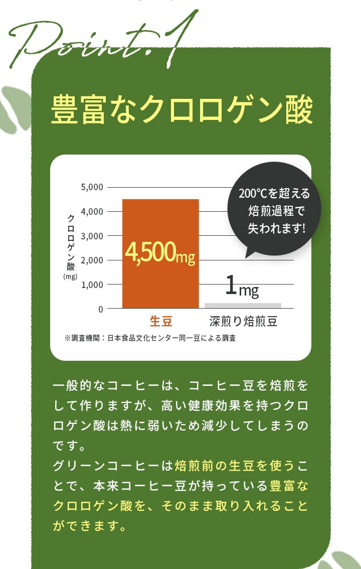 豊富なクロロゲン酸